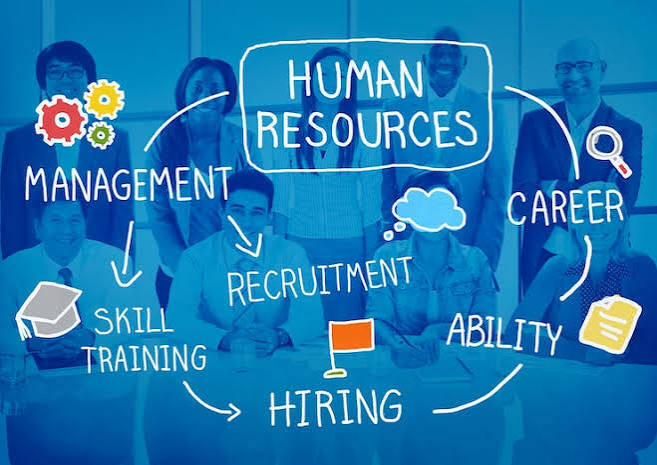 HR audit and policy compliance review for startups