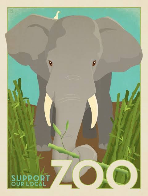 Zoo: Elephant | Anderson Design Group