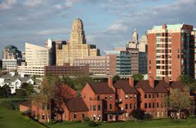 Image result for buffalo skyline