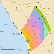 Image result for Arthraerua