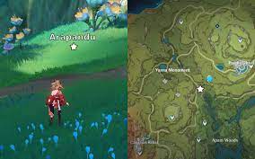 Genshin Impact guide: How to 'adventure with Aranara' - Polygon