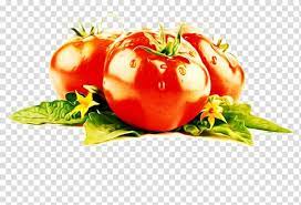 Cherry Tomato Lycopene Vegetable Tomato Extract Tomato Transparent Background Png Clipart Cherry Tomatoes Lycopene Vegetables