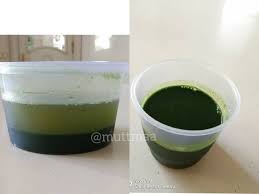 Resep Jus Pandan Ekstrak Pandan Alami Oleh Mutt Maa Resep Masakan Indonesia Puding Warna Alami
