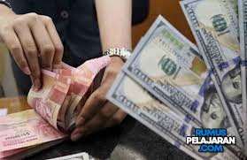 Pengertian Devisa Fungsi Manfaat Tujuan Macam Sumber Dan Contohnya Rumuspelajaran Com