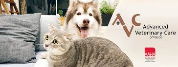 Veterinary technician at advanced veterinary care of pasco hudson, florida, united states 13 connections. Advanced Veterinary Care Of Pasco Home Facebook