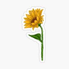 Maya K Shop Redbubble Sunflower Drawing Cute Stickers Sticker Art