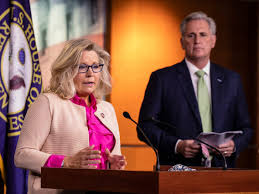 She was first elected in 2016, on a platform of restoring america's strength and power in the world, and pursuing conservative solutions to create jobs, cut taxes and regulation, and expand america's energy, mining and agriculture industries. Xlmgnnq6w7 Mam