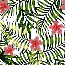 Top angebote für küche & haushalt.kostenlose lieferung möglich You Searched For Tropical Leaves And Pink Exotic Flowers Background