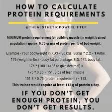 How Much Protein Can The Body Absorb In A Day Quora