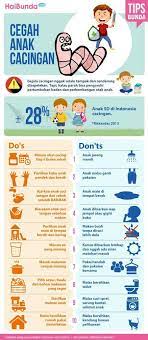 About Cacingan Haibunda Com Pendidikan Psikologi Perkembangan Disiplin Anak