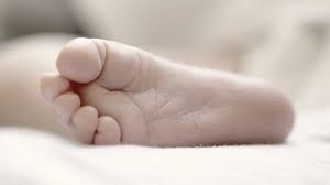 Jul 15, 2021 · as notícias de cultura mais atuais sobre música, teatro, cinema e muito mais. Bebe Morre Apos Paragem Cardiorrespiratoria Em Coruche