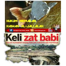 Di malaysia kini isu makanan halal dan haram menjadi agenda yang begitu hangat diperkatakan. 21 Status Halal Produk Diragui Netizen Jakim Jelaskan Segala Kemusykilan