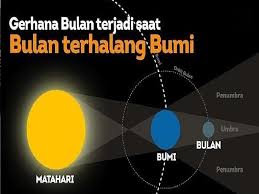 Check spelling or type a new query. Latihan Soal Dan Jawaban Ipa Terpadu Kelas Vii Semester 2 Halaman 167