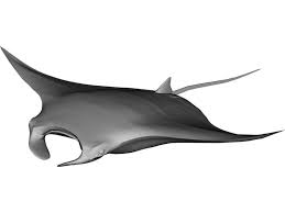Pin On My Future Submersible Design