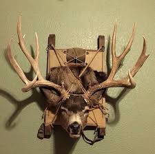 Pack Deer Hunting Decor Taxidermy Decor Antler Art