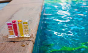 Algen Im Pool Selbst De