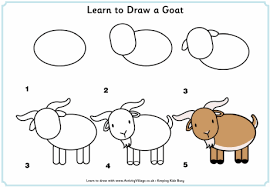 How To Draw Goats American Fainting Goat Organization Animal Drawings Drawings Easy Drawings
