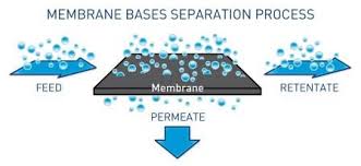 Our 1000+ multiple choice questions and answers (mcqs) on separation processes focus on all areas of separation processes covering 100+ topics. Pentair Membrane Separation Allows Passage Based On Particle Size X Flow