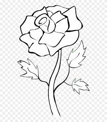 Black and white rose drawing free download on clipartmag. White Rose Clip Art White Rose Png Clipart Transparent Png 566x879 475624 Pngfind