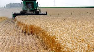 I assume there is one since if you click on the plantation node it lets you bring up a worker list and you can get lodging houses at the node? U S Farmers Scramble For Help As Covid 19 Scuttles Immigrant Cgtn