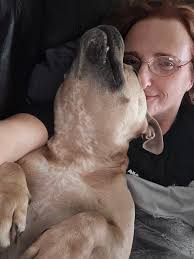 Changing plans because of a dog