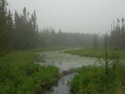 Travel about 2 miles to whitefish lake road. Sawbill Lake Campground Superior Mn 1 Hipcamper Review