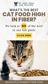 Cat food high in fiber helps prevent hairball formation. Best High Fiber Cat Food Reviews And Cat Food Guide High Fiber Cat Food Cat Food Cat Food Brands