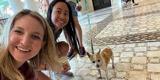 Qué hacer mañana en Greenville