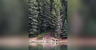 Obituary information for Mr. Mark Anthony Paschal