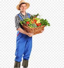 1,899 imagens png transparentes em agricultor. Agricultor La Fruta La Comida Imagen Png Imagen Transparente Descarga Gratuita