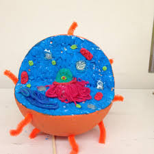 Check spelling or type a new query. Animal Cell Learning Tool 18 Steps With Pictures Instructables