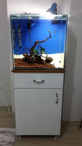 Kakadu Akvaryum Kurulumum