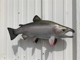 Check spelling or type a new query. 24 Inch Rainbow Trout Mount 24 Inch Rainbow Trout Full Mount 24 Inch Rainbow Trout Replica