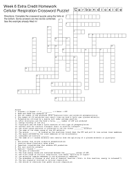 Refer to the answer key at the end of this lesson for possible answers. Criss Cross Puzzle