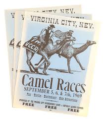 How do camels adapt to their environment? Original Camel Race Posters