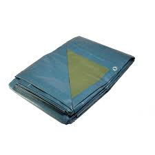 Bache Plastique 5x8 M Bleue Et Verte 150g M Bache De Protection Polyethylene Leroy Merlin