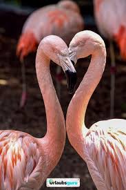 Zoos In Deutschland Deutschlandliebe By Urlaubsguru The Zoo Zoos In Deutschland Urlaubsguru
