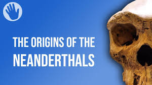 Still such a new and ongoing investigation nawal mubin, alex pinto, daniel connelly. Why Are Neanderthals Extinct Youtube