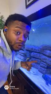 The Worst Way to Start the Day as a Fish Keeper!