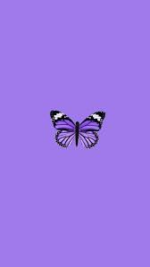 Light blue butterfly in 2020 | butterfly wallpaper iphone. Butterfly Aesthetic Hintergrundbild Nawpic