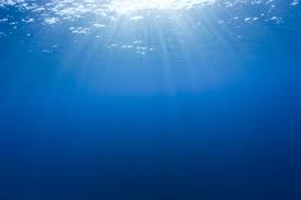 Image result for sea