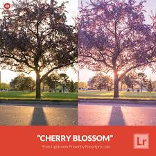 We did not find results for: Free Lightroom Preset Cherry Blossom Download Now