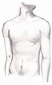 There are 299 male anatomy drawing for sale on etsy, and they cost $18.93 on average. Male Anatomy Reference Drawing Anatomy Drawing Diagram