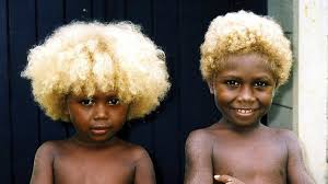 They have a gene variant that causes them to have blond hair and it is completely distinct from the variants that cause. Melanesians Meet The World S Only Natural Black Blondes Article Pulse Nigeria