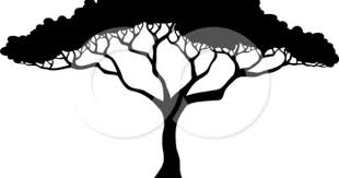 Welcome to my channel ;) i wrote a lesson aboutthe acacia dealbata (mimosa in russia) this is a very simple lesson.i hope that my. Acacia Tree Coloring Pages