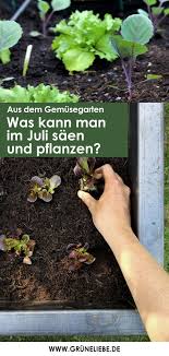 Und das wird dann gemacht. Was Kann Man Im Juli Pflanzen Und Saen Gruneliebe De In 2020 Pflanzen Gemuse Pflanzen Balkon Pflanzen