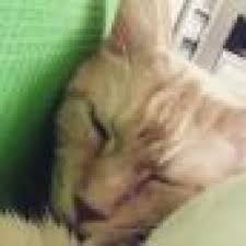 Also in der regel ist er breiig, zwei mal war er dünn. Heller Stinkender Breiiger Kot