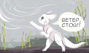 Chasing wind rain world