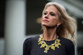 Federal Watchdog Agency Recommends Removal Of Kellyanne Conway From Federal Office For Violating The Hatch Act Federal Employee Democratic Presidential Candidates Conway