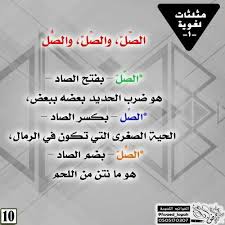 مثلثات لغوية الصل learning arabic arabic lessons arabic language